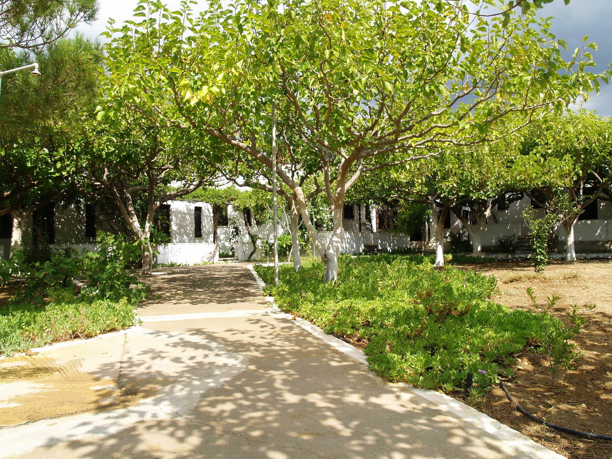 Dolphin Apartments Frangokastello Buitenkant foto